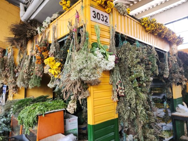 Tienda Botánica Santa Ligia - Imagen 6