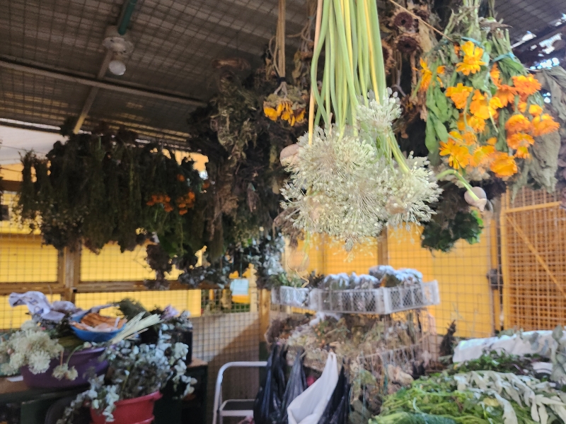 Tienda El Bienestar Plantas Medicinales