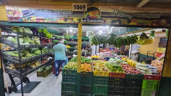 Frutas y Legumbres Los Naranjo - Imagen 4