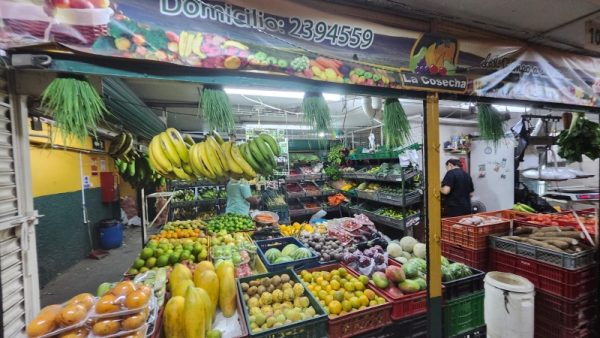 Frutas y Legumbres Los Naranjo - Imagen 5